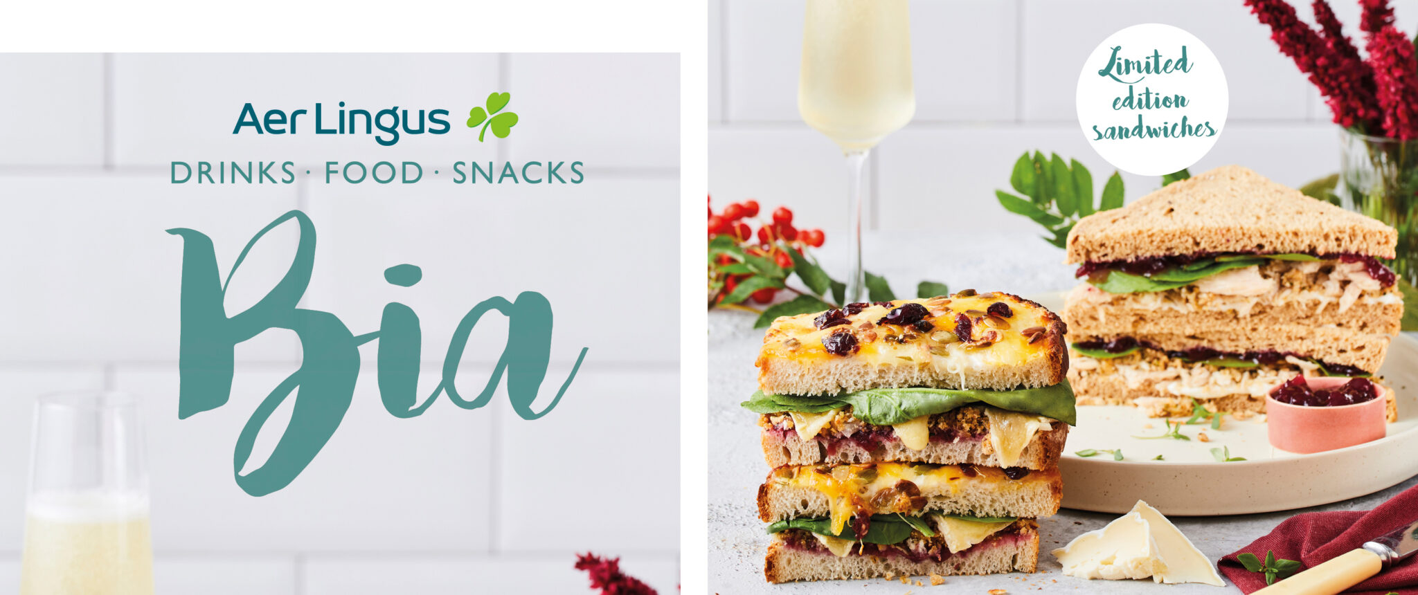 Aer Lingus guests onboard its aircraft with new winter